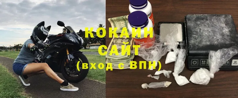 COCAIN Fish Scale  Болхов 