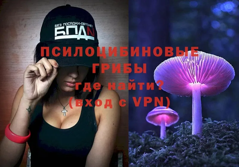 Галлюциногенные грибы Magic Shrooms  где купить   Болхов 